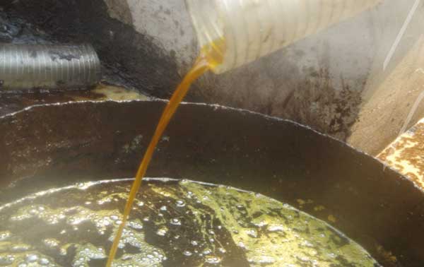 油脂行（háng）業（出油）